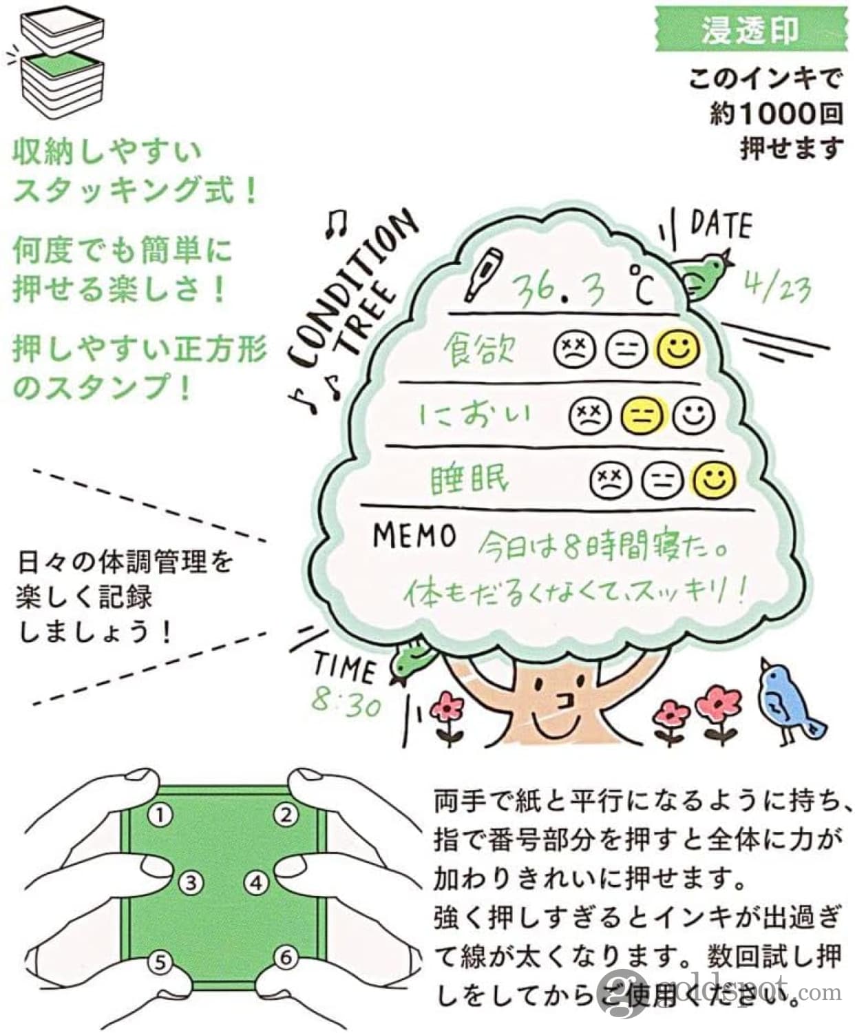 Midori Paintable Stamp Pre-Inked in Health Management Accessories