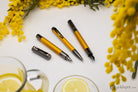 Monteverde USA Ritma 2026 Special Edition 3 + 2 Piece Set in Mimosa Fountain Pen
