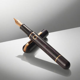 Nahvalur Nautilus Fountain Pen in Stylophora Berry