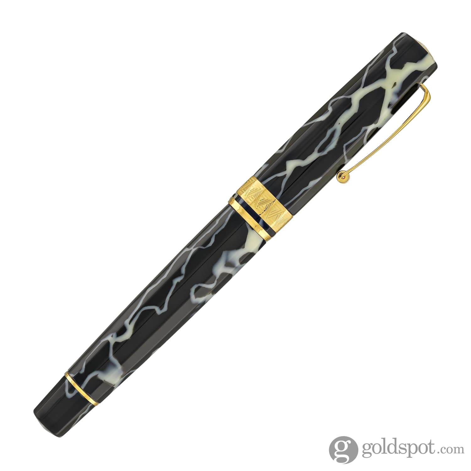 Omas Paragon Fountain Pen in Wild with Gold Trim - Goldspot Pens