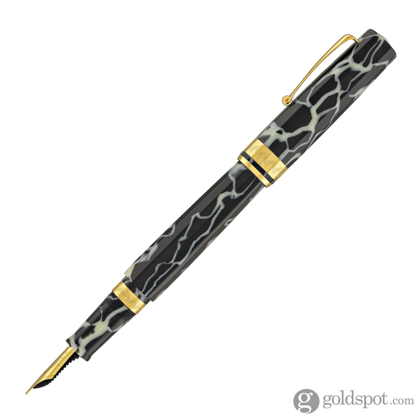 Omas Paragon Fountain Pen in Wild with Gold Trim Fountain Pen