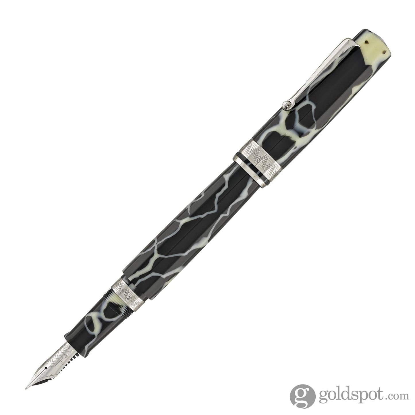 Omas Paragon Fountain Pen in Wild with Silver Trim Fountain Pen