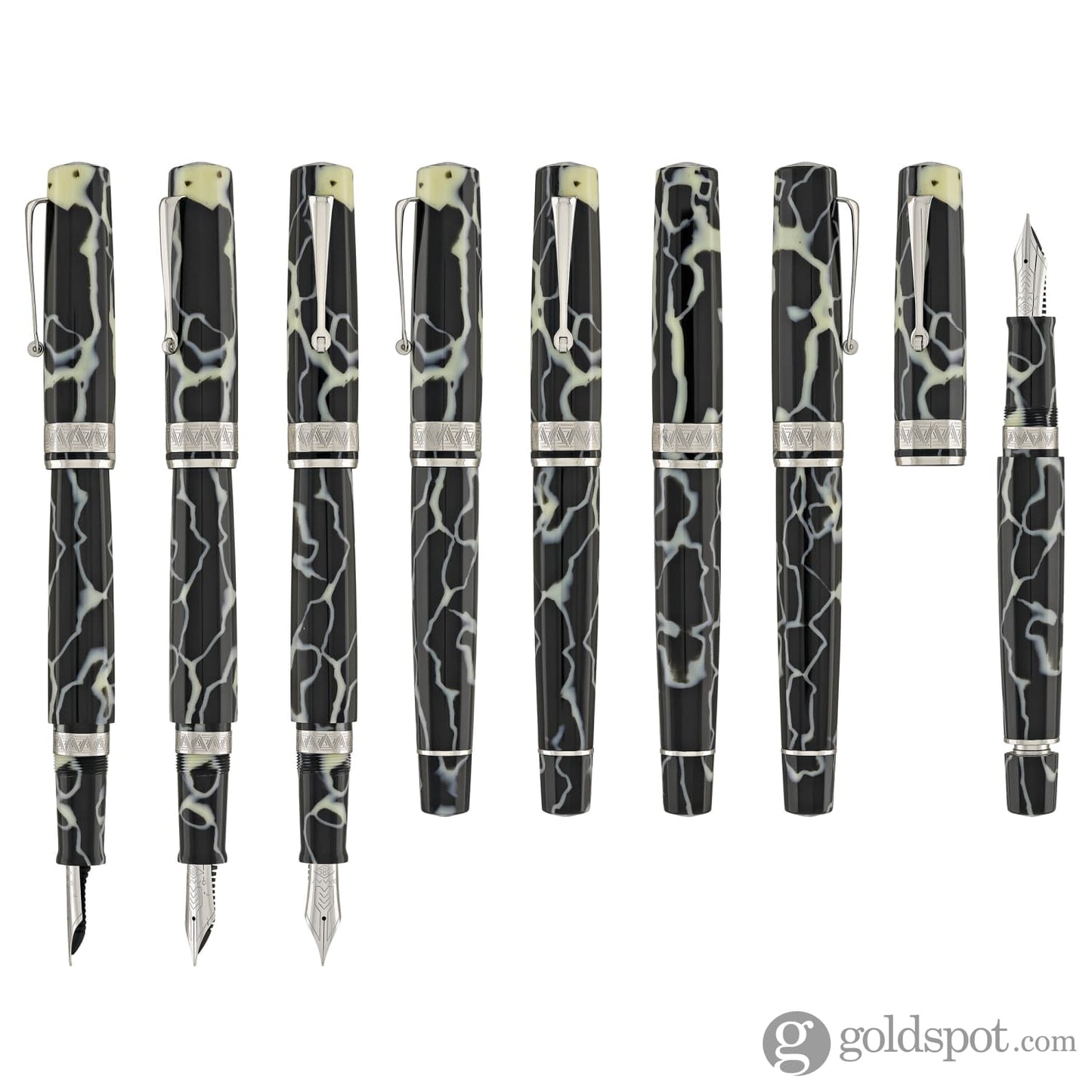 Omas Paragon Fountain Pen in Wild with Silver Trim Fountain Pen