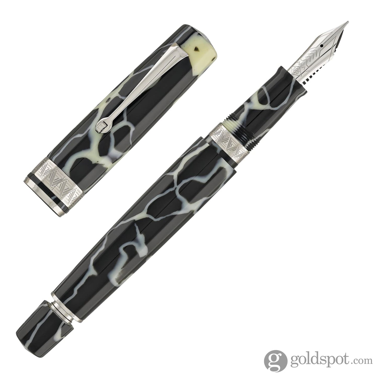 Omas Paragon Fountain Pen in Wild with Silver Trim Fountain Pen