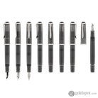 Pelikan Classic 205 Fountain Pen in Moonstone Fountain Pen