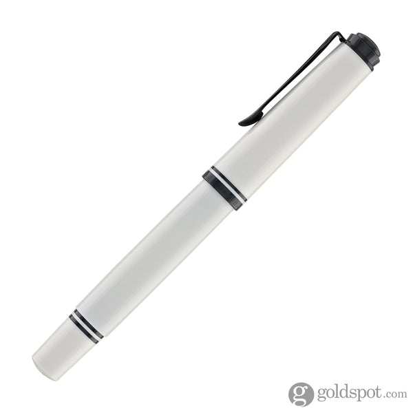 Pelikan Souveran M670 Fountain Pen in Warm Grey - Special Edition Fountain Pens