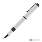 Pelikan Souveran M670 Fountain Pen in Warm Grey - Special Edition Fountain Pens