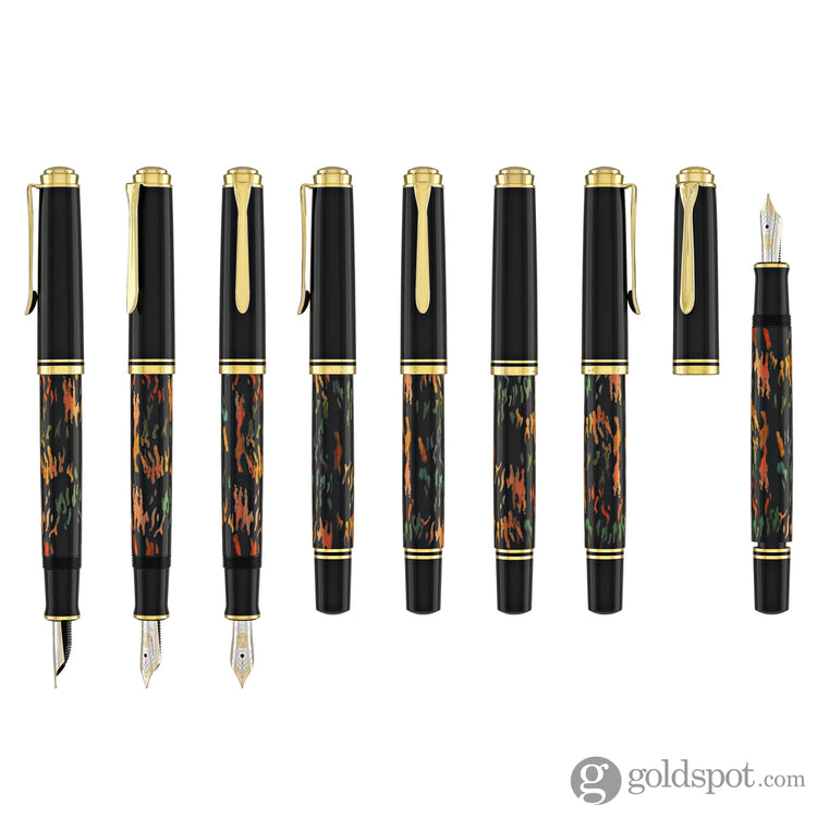 Pelikan Special Edition Souverän M600 Fountain Pen in Glauco Cambon Fountain Pen