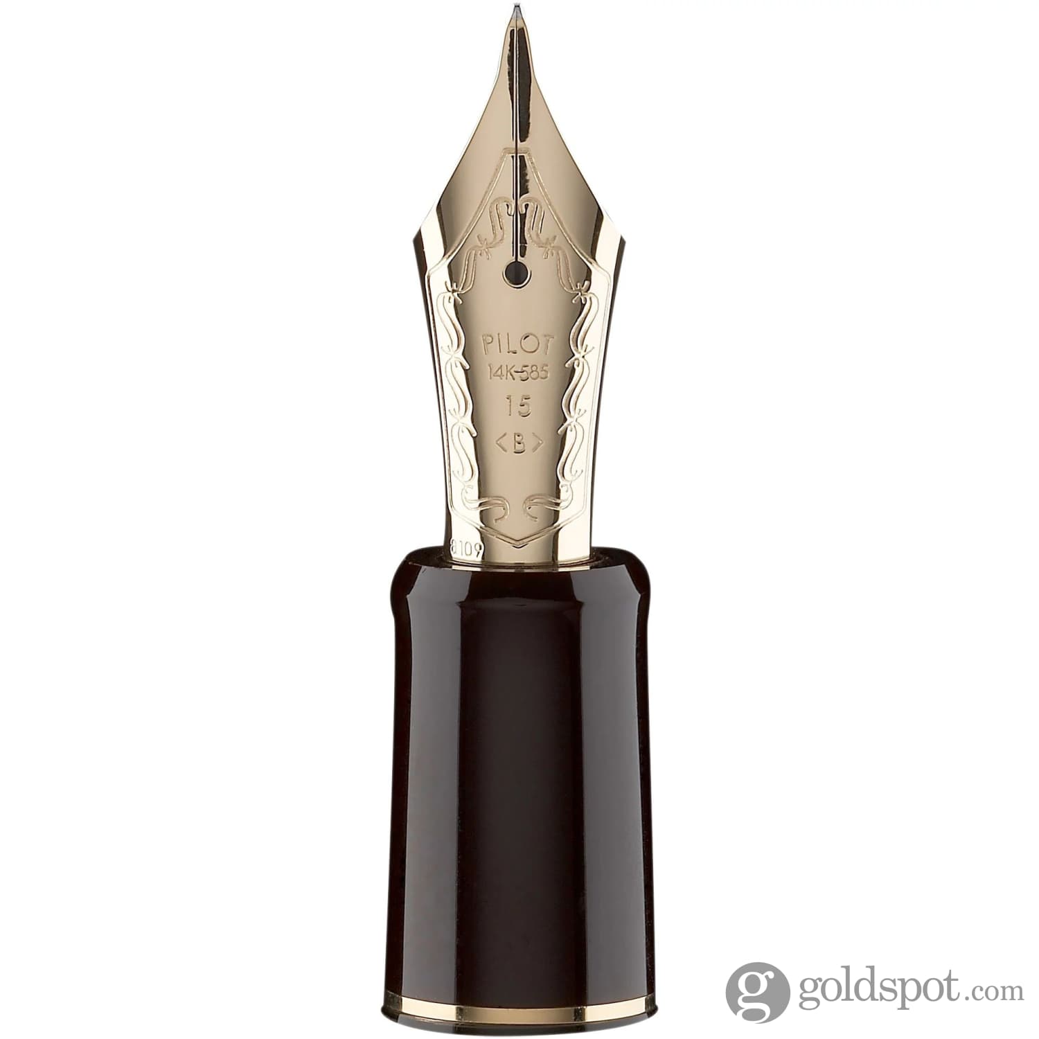 Pilot Custom 823 Fountain Pen in Clear with Gold Trim - 14K Gold