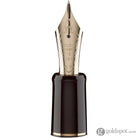 Pilot Custom 823 Fountain Pen in Clear with Gold Trim - 14K Gold Fountain Pen