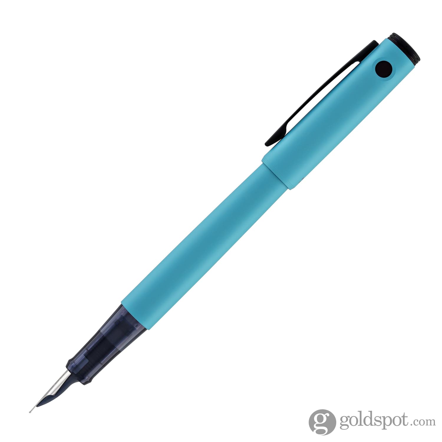 Pilot Explorer Fountain Pen in Turquoise Matte - Goldspot Pens