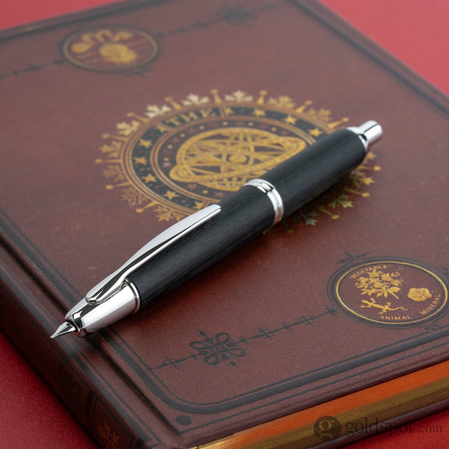 Pilot Vanishing Point Fountain Pen in Birchwood Black - 18K Gold Fountain Pen