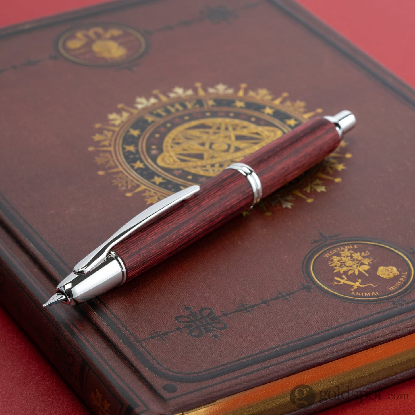 Pilot Vanishing Point Fountain Pen in Birchwood Red - 18K Gold Fountain Pen