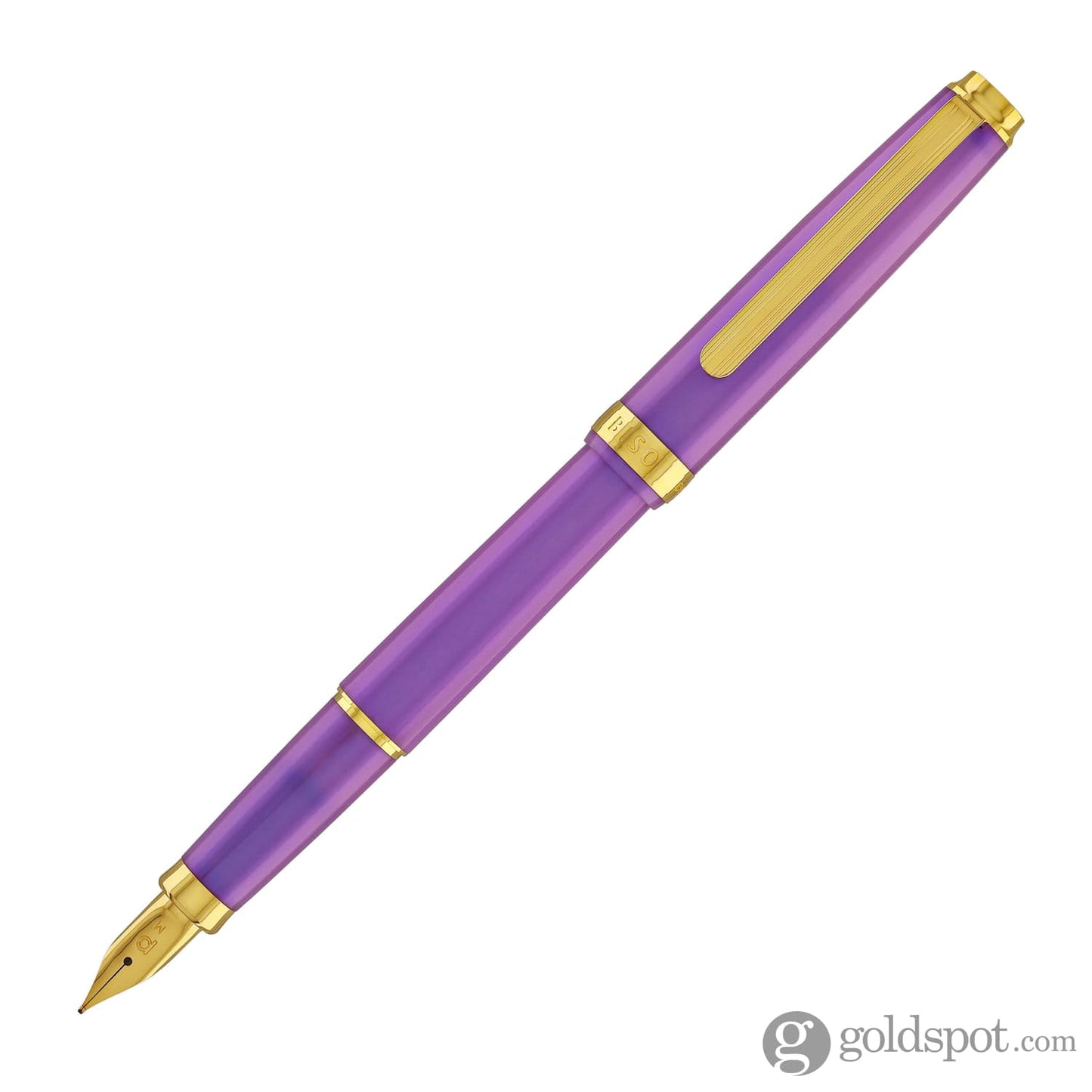 Platinum Biso Fountain Pen in Mystic Purple - Limited Edition Fountain Pen