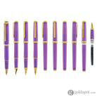 Platinum Biso Fountain Pen in Mystic Purple - Limited Edition Fountain Pen