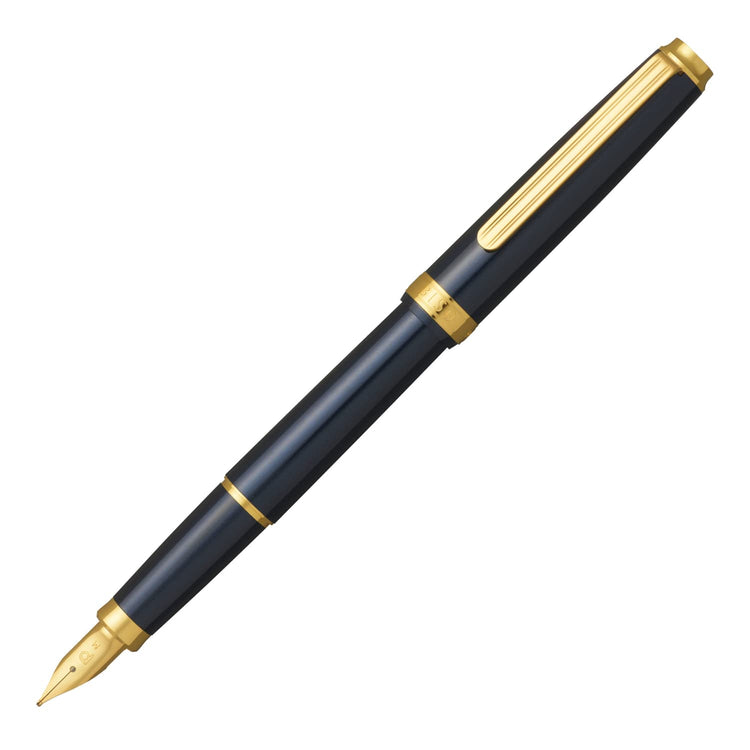 Platinum Biso Fountain Pen in Nebula Black Fountain Pen