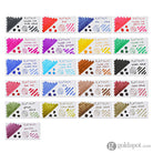 Platinum Classic Bottled Ink in Cassis Black - 60 mL Bottled Ink