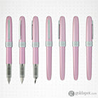 Platinum Plaisir Fountain Pen in Pink - 03 Fine Point Fountain Pen