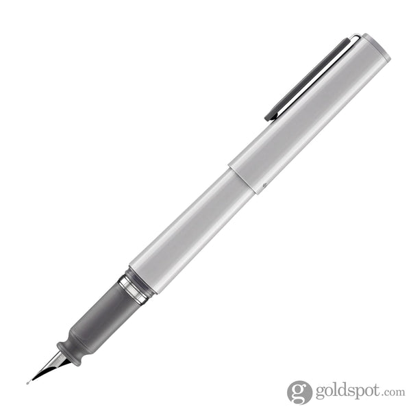 Sailor Compass Tuzu Fountain Pen in Gray Fountain Pens