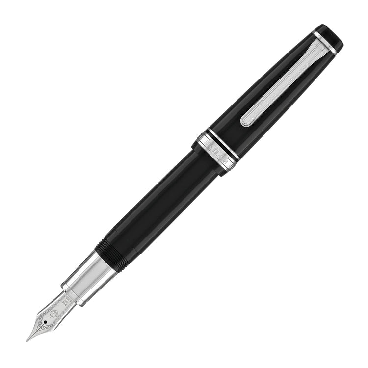 Sailor Pro Gear Regular Fountain Pen in Ginza Silver - 21kt Gold Fountain Pen