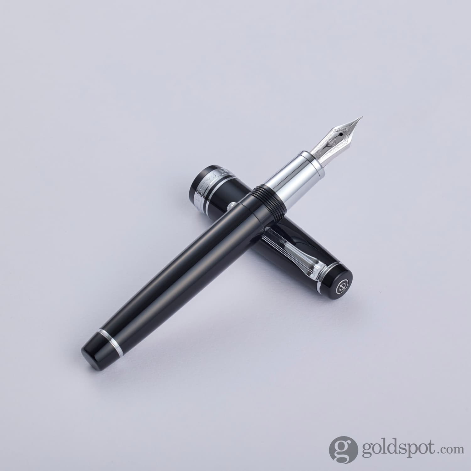 Sailor Pro Gear Regular Fountain Pen in Ginza Silver - 21kt Gold