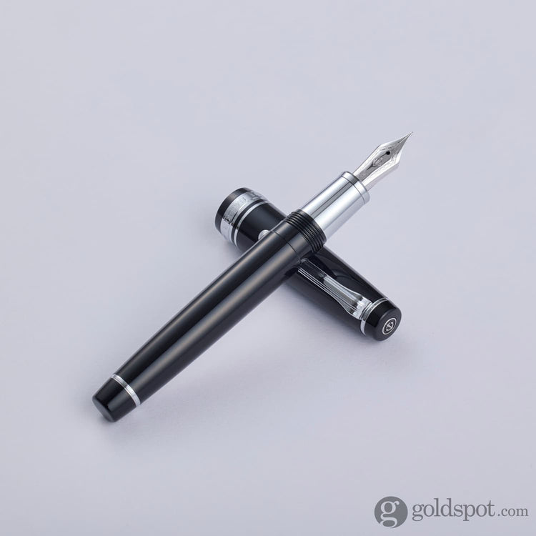 Sailor Pro Gear Regular Fountain Pen in Ginza Silver - 21kt Gold Fountain Pen