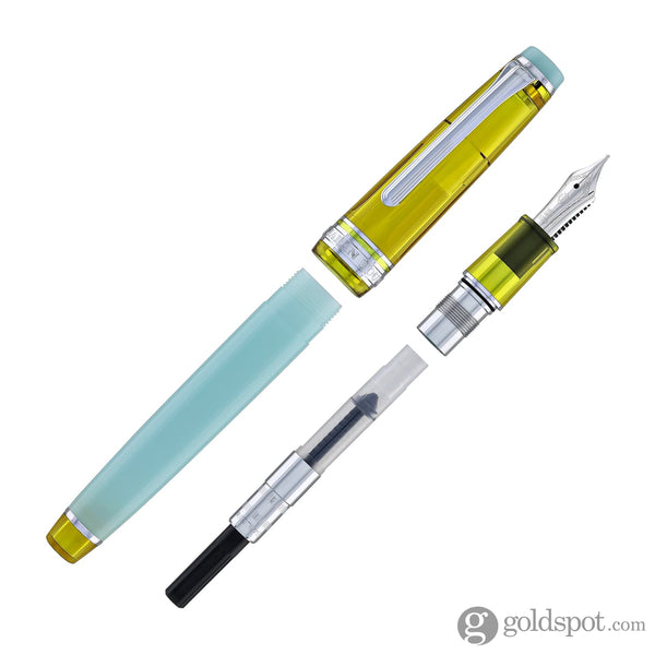 Sailor Pro Gear Slim Fountain Pen in Manyo #3 Series Bamboo Shoot - 14K Gold Nib and Nagi Bottled Ink - 50mL Fountain Pen