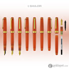 Sailor Pro Gear Fountain Pen in Seasonal Festival Series Kiku - 14K Gold Fountain Pen