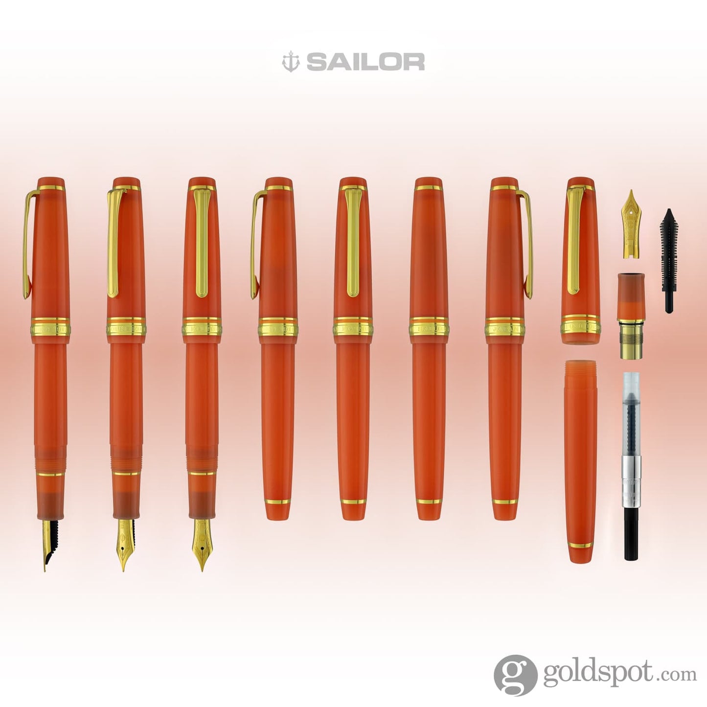 Sailor Pro Gear Fountain Pen in Seasonal Festival Series Kiku - 14K Gold Fountain Pen