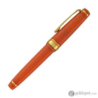 Sailor Pro Gear Fountain Pen in Seasonal Festival Series Kiku - 14K Gold Fountain Pen