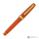 Sailor Pro Gear Fountain Pen in Seasonal Festival Series Kiku - 14K Gold Fountain Pen