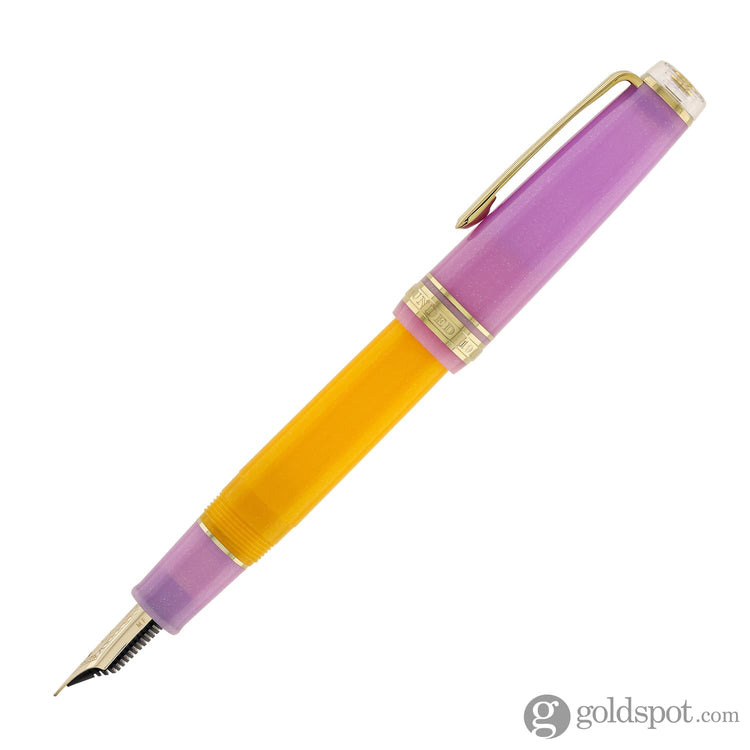 Sailor Pro Gear Smoothie Regular 2nd Edition Fountain Pen in Acai Berry - 21kt Gold Nib Fountain Pen