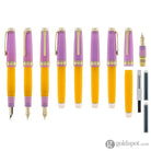 Sailor Pro Gear Smoothie Regular 2nd Edition Fountain Pen in Acai Berry - 21kt Gold Nib Fountain Pen