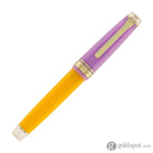 Sailor Pro Gear Smoothie Regular 2nd Edition Fountain Pen in Acai Berry - 21kt Gold Nib Fountain Pen