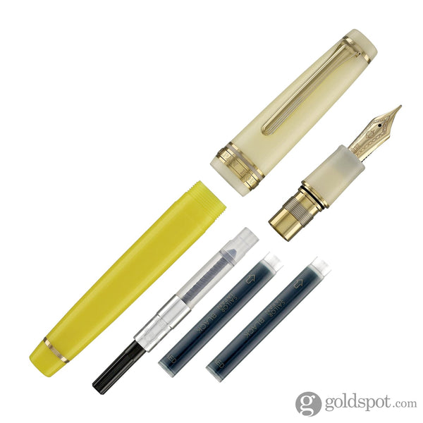 Sailor Pro Gear Smoothie Regular Fountain Pen in Passion Fruit - 21kt Gold Fountain Pen