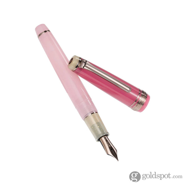 Sailor Professional Gear Slim Dried Flower Collection Fountain Pen in Pink Rose - 14k Gold Fountain Pen