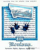 Sailor USA State Bottled Ink in Montana (Blue) - 20 mL Bottled Ink