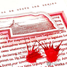 Sailor USA State Bottled Ink in Nebraska (Red) - 20 mL Bottled Ink