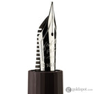 Scribo Flow Fountain Pen in Armonia with Platinum Trim Fountain Pen
