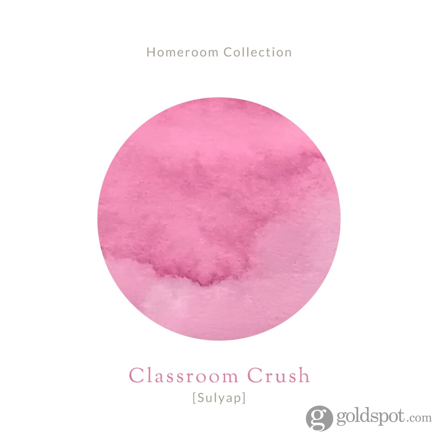 Vinta Inks Homeroom Collection Bottled Ink in Classroom Crush [Sulyap] - 30mL Bottled Ink