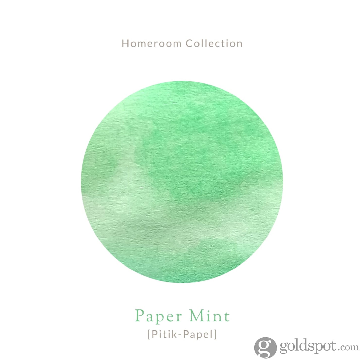Vinta Inks Homeroom Collection Bottled Ink in Paper Mint [Pitik Papel] - 30mL Bottled Ink