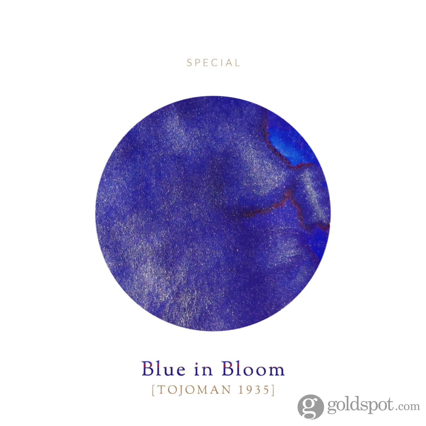 Vinta Inks Manila Pen Show 2025 Collection Bottled Ink in Blue in Bloom [Tojoman 1935] - 30mL Bottled Ink