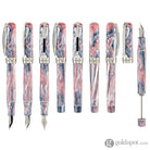 Visconti Voyager Mariposa Fountain Pen in Painted Beauty with Palladium Trim Fountain Pens