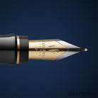 Waterman Expert Fountain Pen in Opera with Gold Trim - Medium Point Fountain Pen