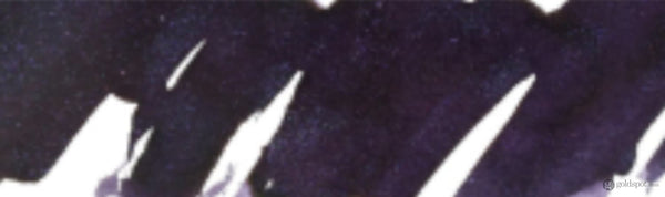 Wearingeul World Literature Ink Collection in The Raven - 30mL Bottled Ink