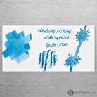 Colorverse USA Special Bottled Ink in Maryland (Blue Crab) - 15mL Bottled Ink