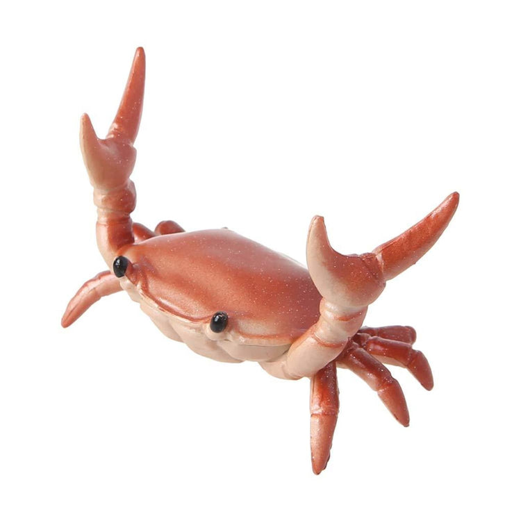 Crab Pen Holder in Orange Accessory
