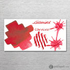 Diamine 150th Anniversary Bottled Ink in Carnival - 40 mL Bottled Ink