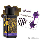 Diamine Bottled Ink in Scribble Purple 30ml Bottled Ink