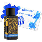 Diamine Classic Bottled Ink in Florida Blue Bottled Ink